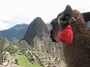 Machu Pichu